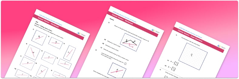 Column vector worksheet