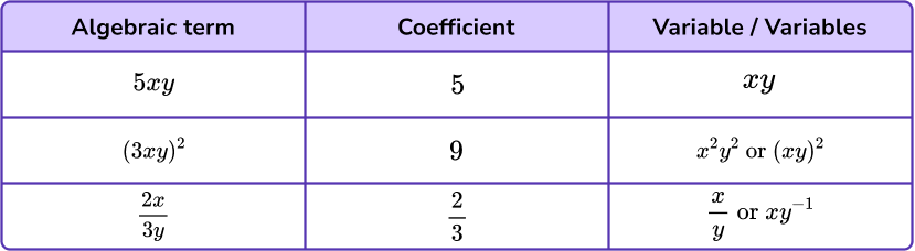 Algebraic Terms image 5