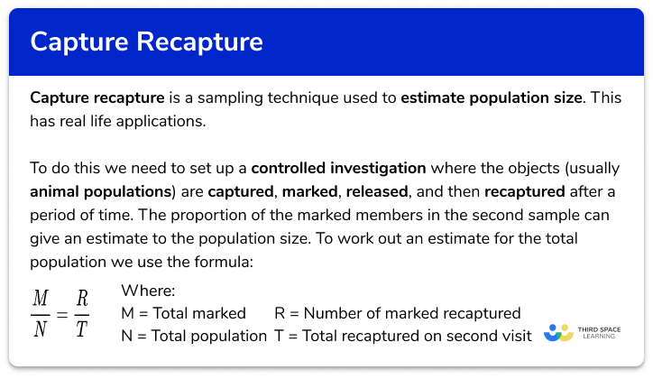 Capture recapture