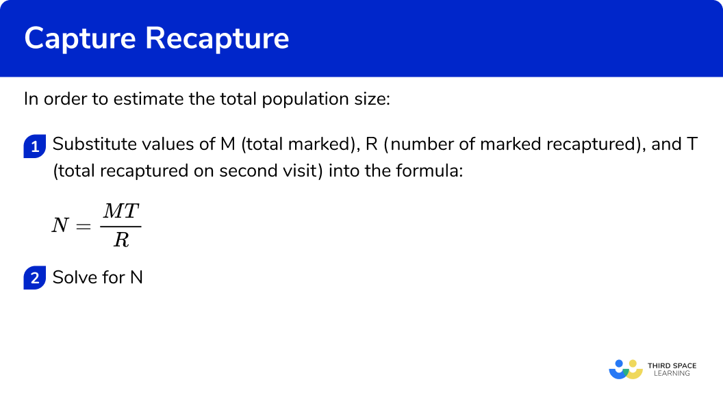 How to find the total population size using capture recapture