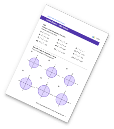 Circle Graph Worksheet