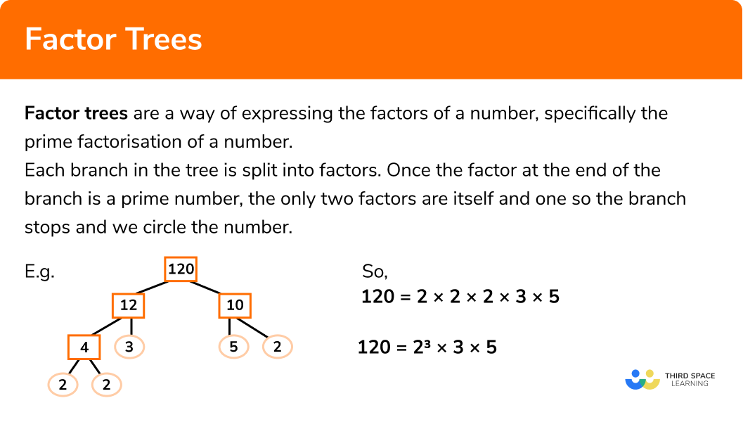 What are factor trees?