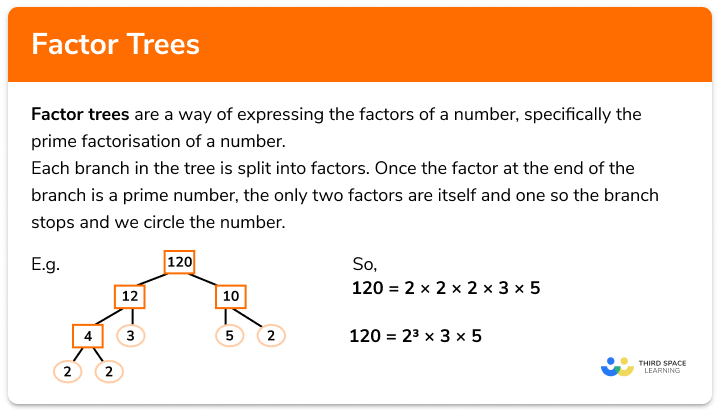 Factor trees