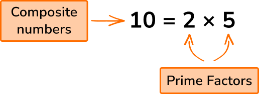 Factors, Multiples and Primes HUB image 1